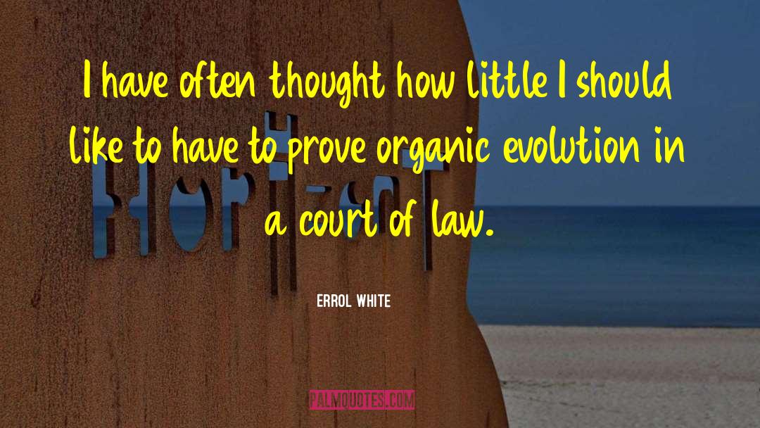 Court Of Law quotes by Errol White