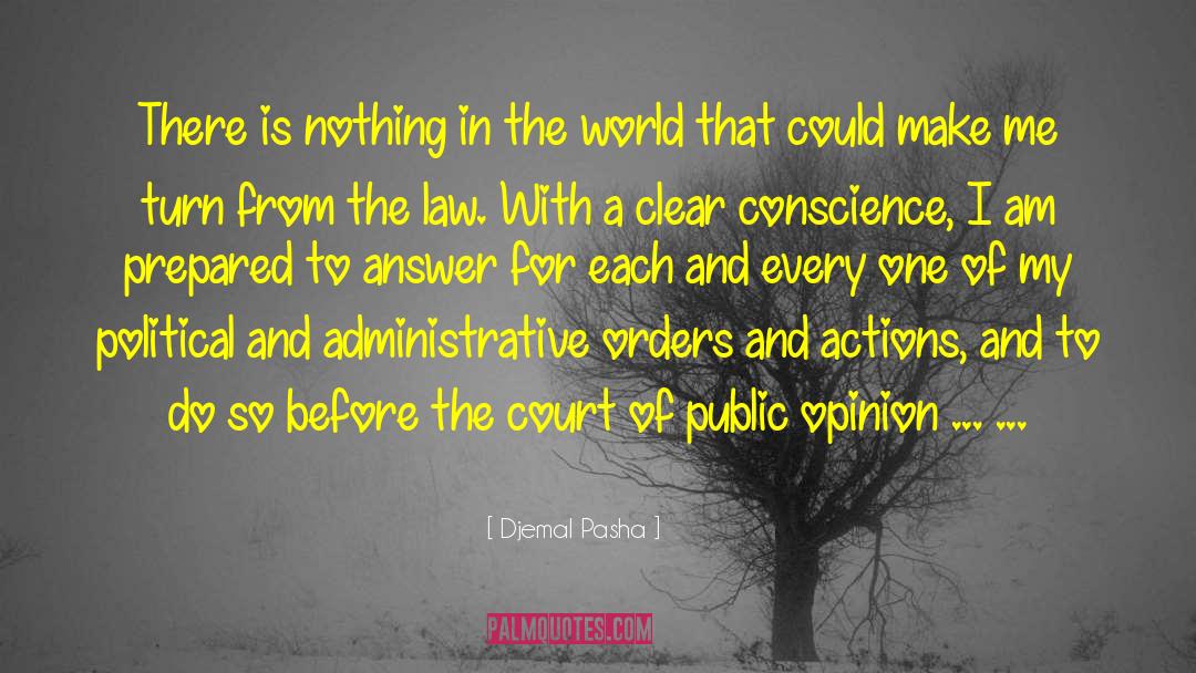 Court Of Public Opinion quotes by Djemal Pasha