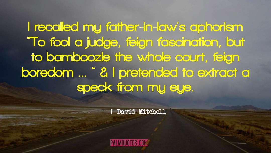 Court Opinion quotes by David Mitchell
