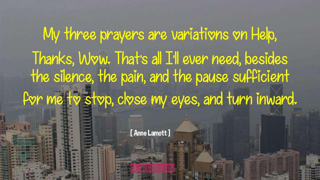 Cover Pain quotes by Anne Lamott