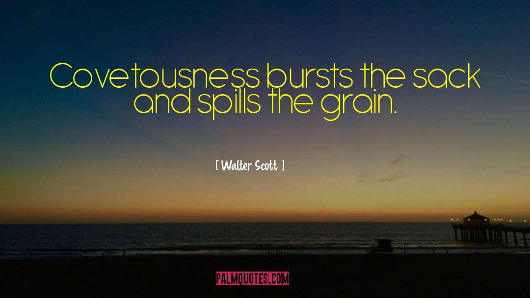 Covetousness quotes by Walter Scott