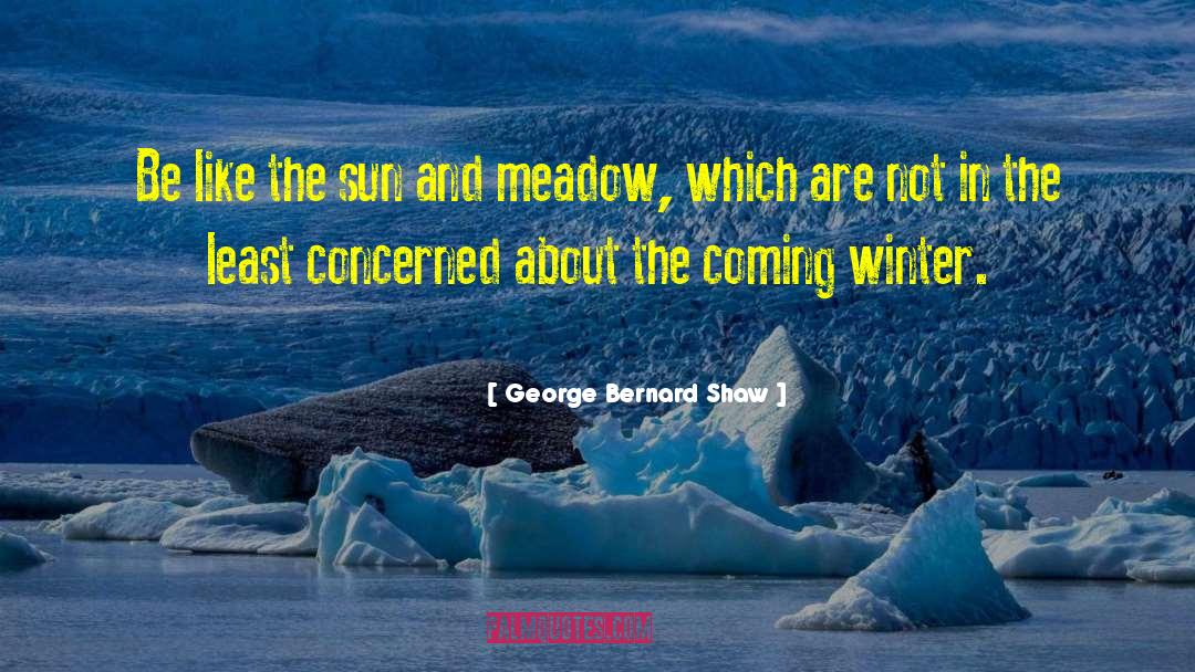 Coveyou Meadows quotes by George Bernard Shaw
