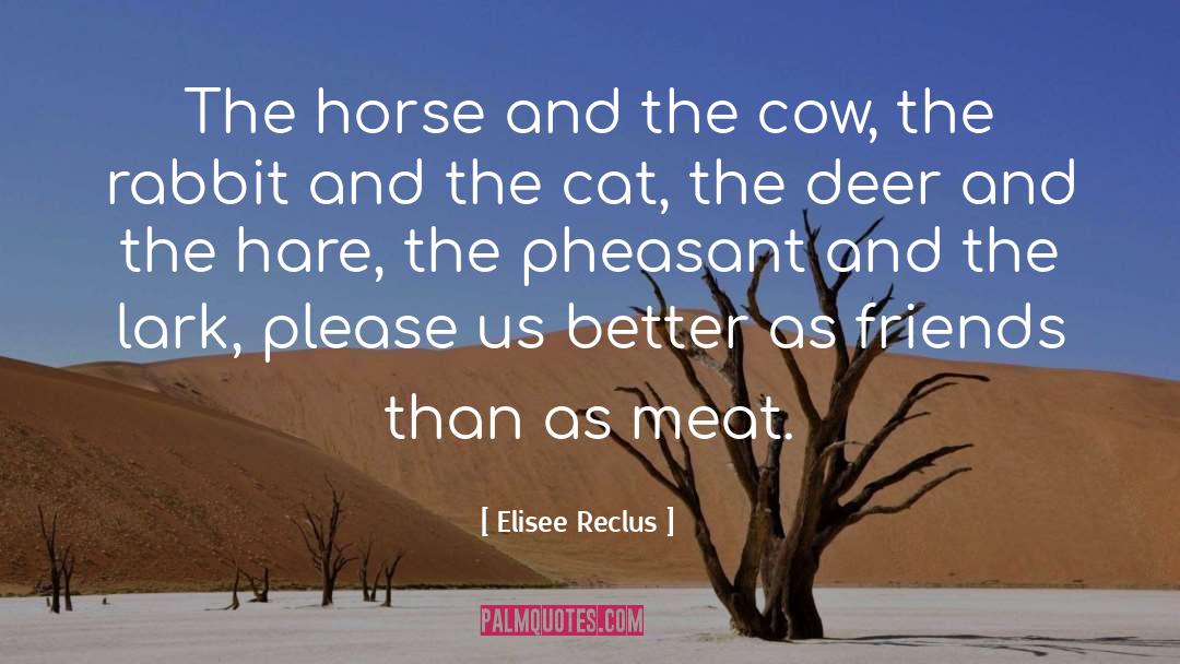 Cow Horse Supply quotes by Elisee Reclus