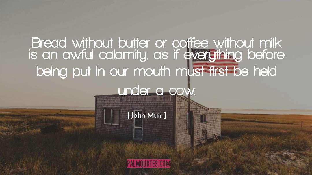 Cow quotes by John Muir