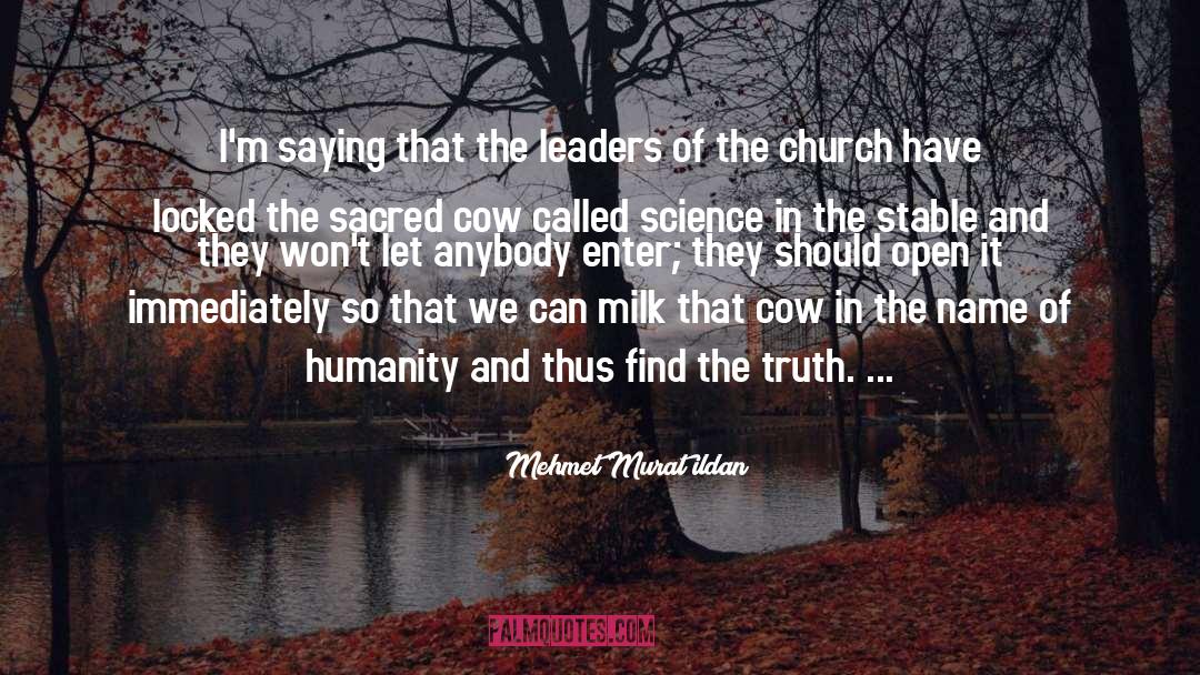 Cow quotes by Mehmet Murat Ildan