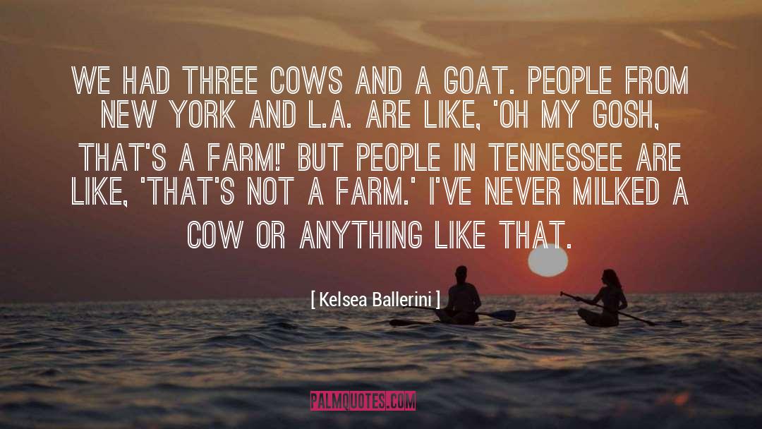 Cow quotes by Kelsea Ballerini