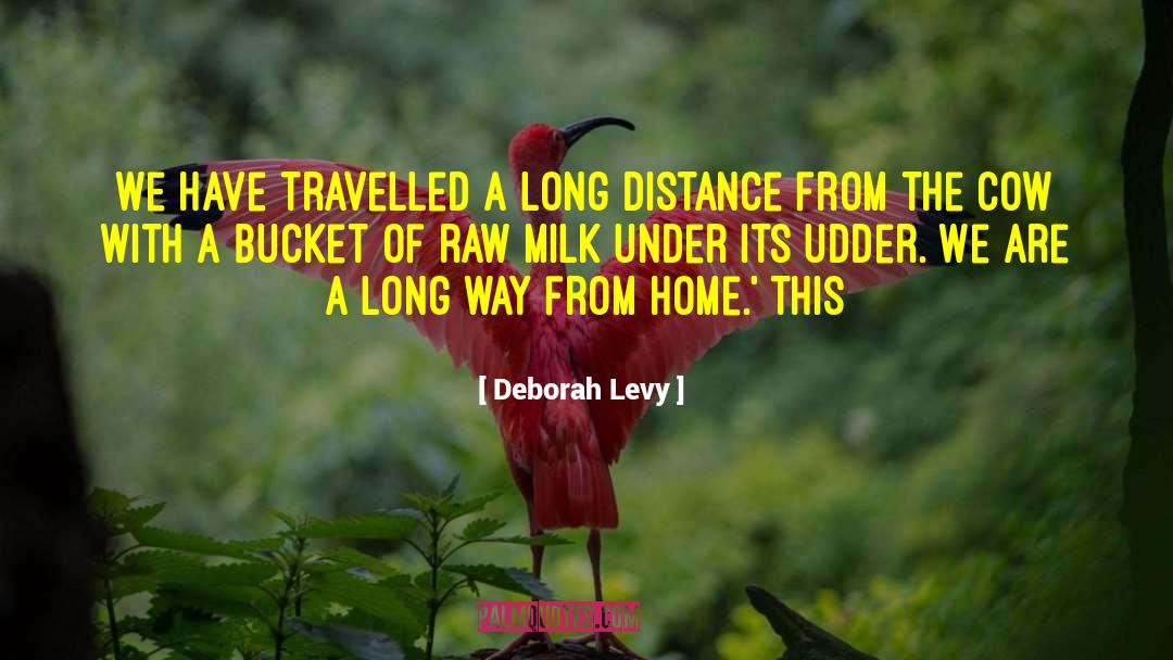 Cow quotes by Deborah Levy