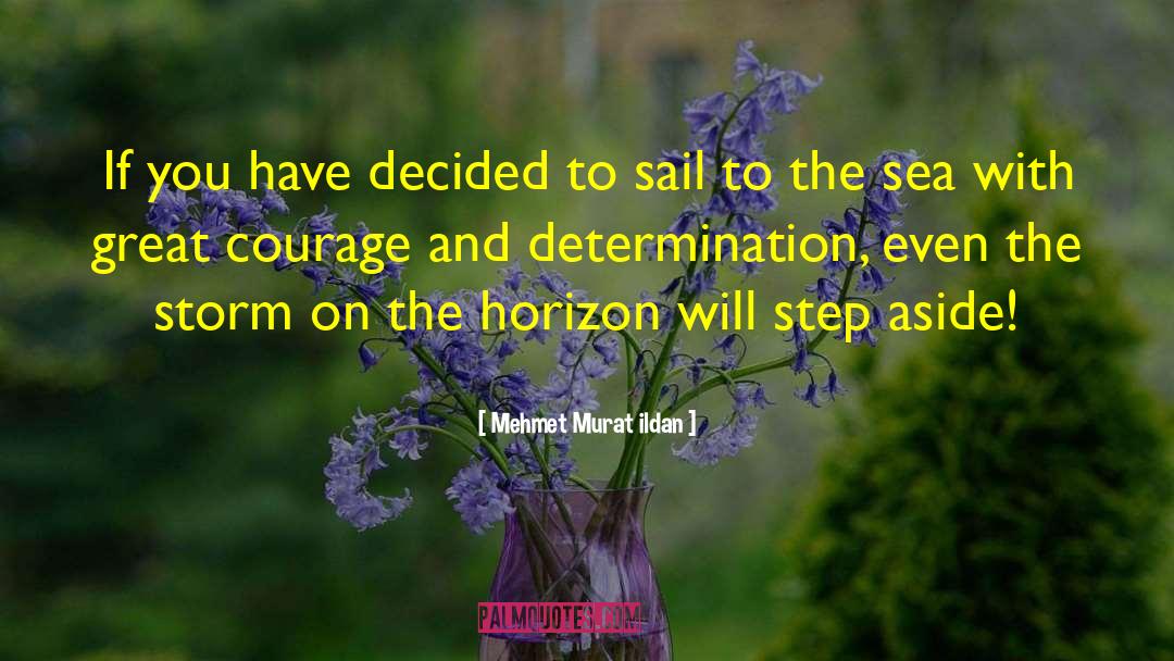 Coward And Courage quotes by Mehmet Murat Ildan