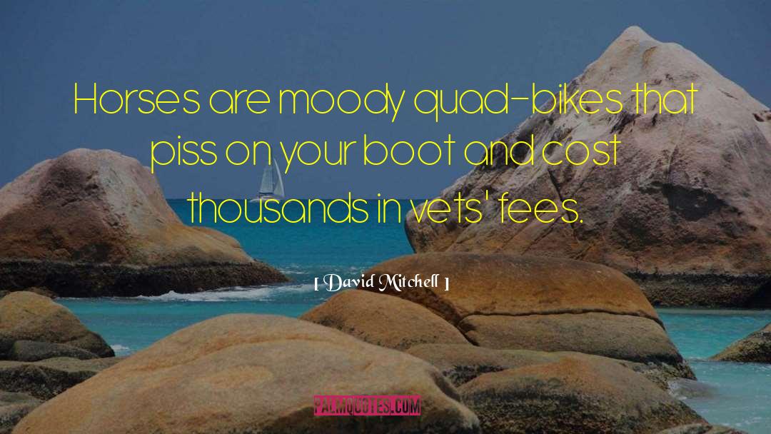 Cowboy Boot quotes by David Mitchell