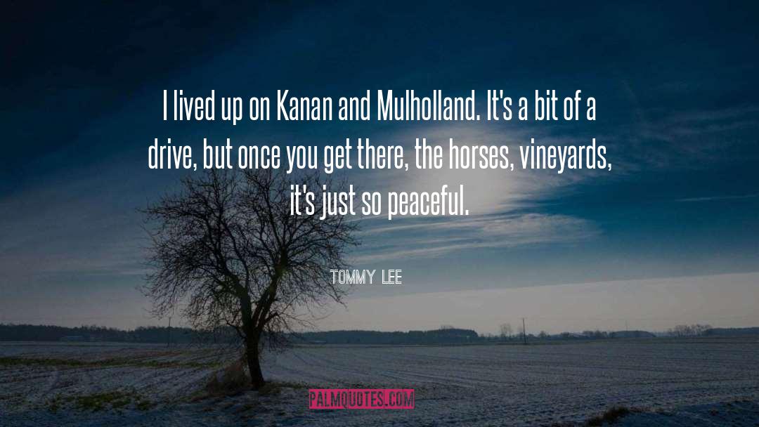 Cowboy Mulholland Drive quotes by Tommy Lee
