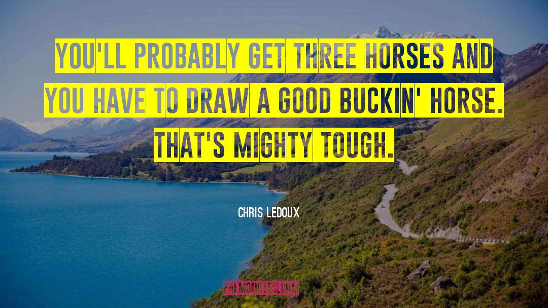 Cowboys And Horses quotes by Chris LeDoux