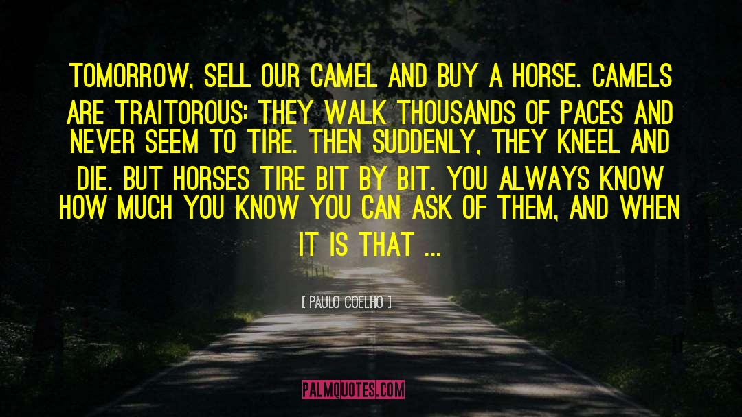 Cowboys And Horses quotes by Paulo Coelho