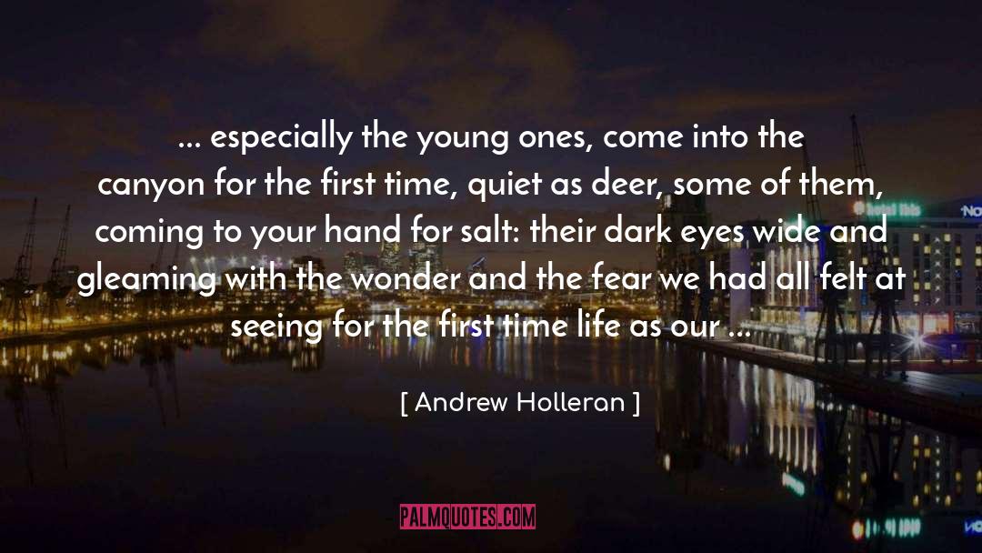 Cowpeas For Deer quotes by Andrew Holleran