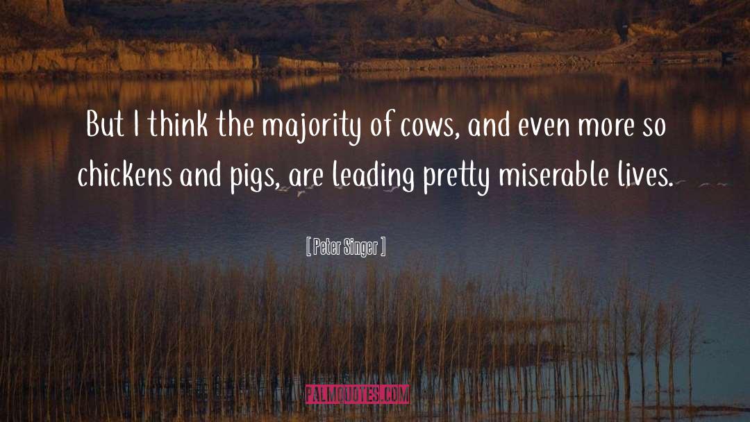 Cows quotes by Peter Singer