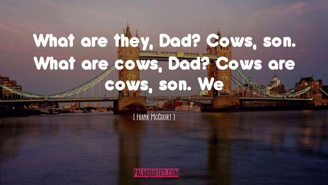 Cows quotes by Frank McCourt