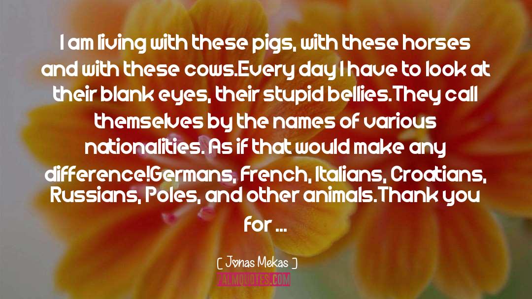 Cows quotes by Jonas Mekas