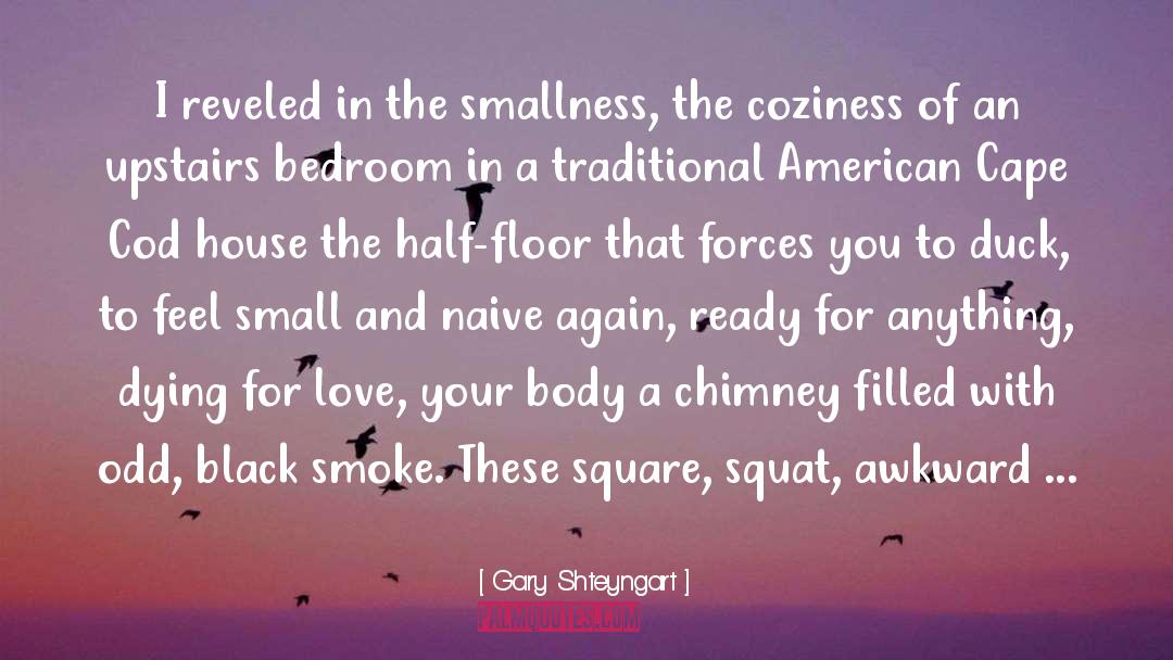 Coziness quotes by Gary Shteyngart