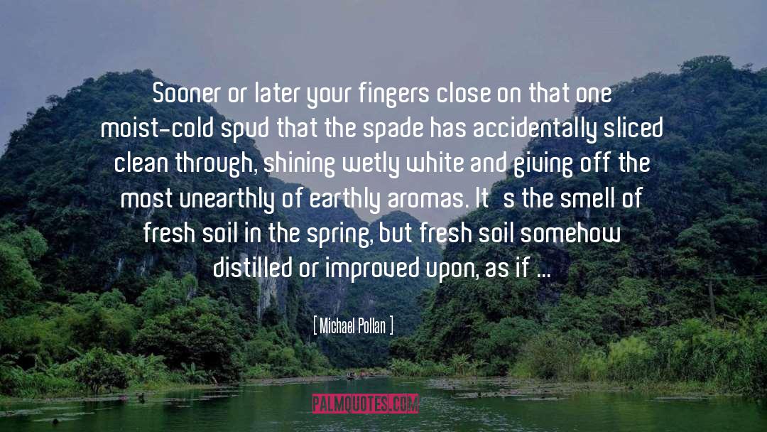 Cozy quotes by Michael Pollan