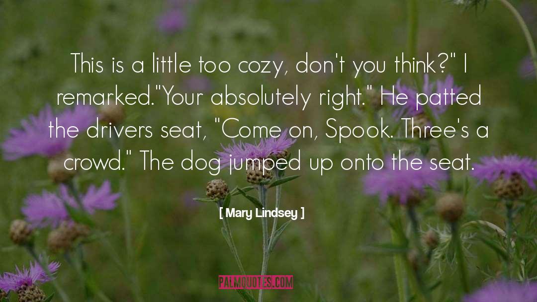 Cozy quotes by Mary Lindsey