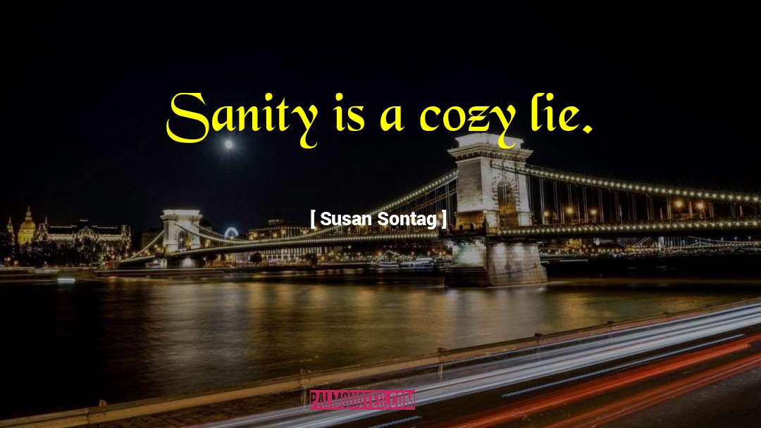 Cozy quotes by Susan Sontag