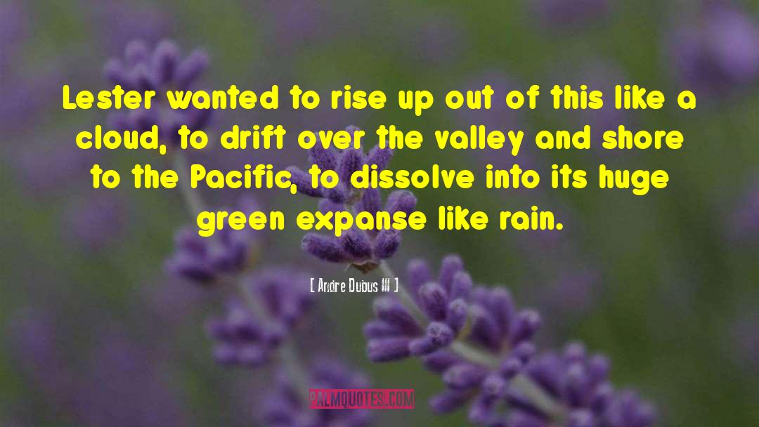 Cozy Rain quotes by Andre Dubus III