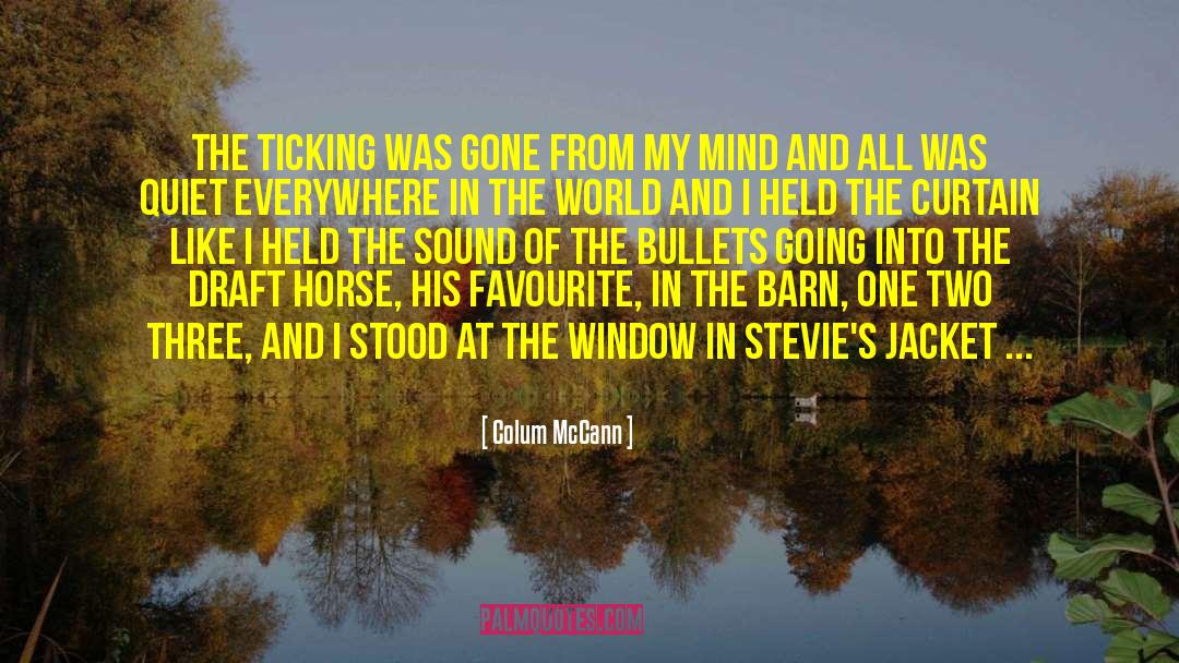 Cozy Rain quotes by Colum McCann