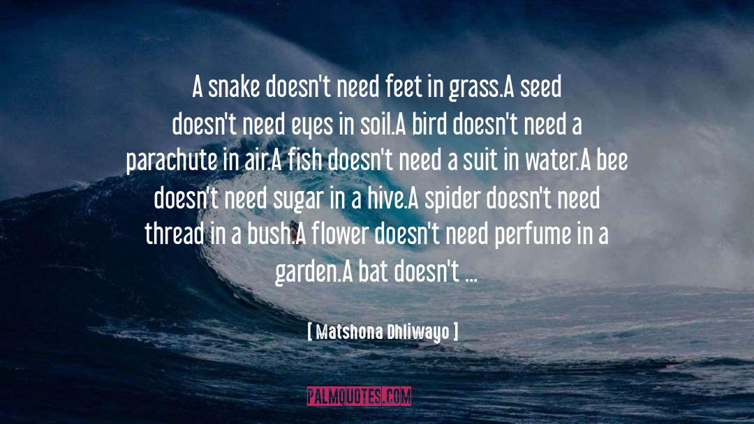 Crabby Grass quotes by Matshona Dhliwayo