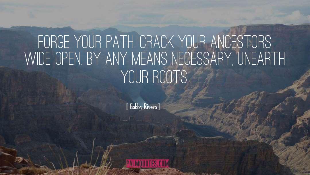 Crack quotes by Gabby Rivera