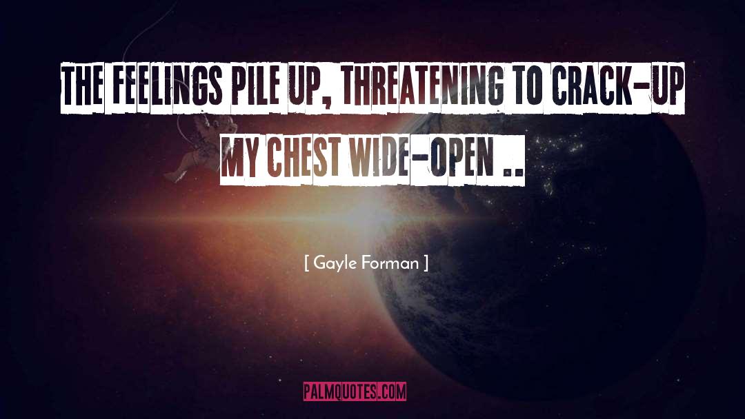Crack quotes by Gayle Forman