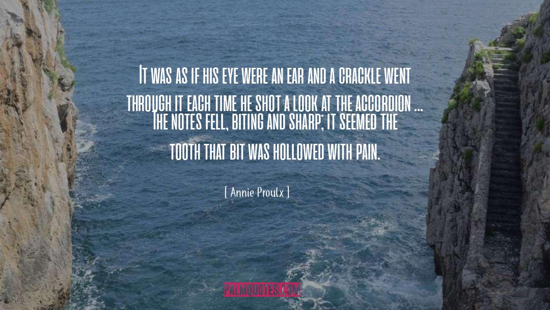 Crackle quotes by Annie Proulx