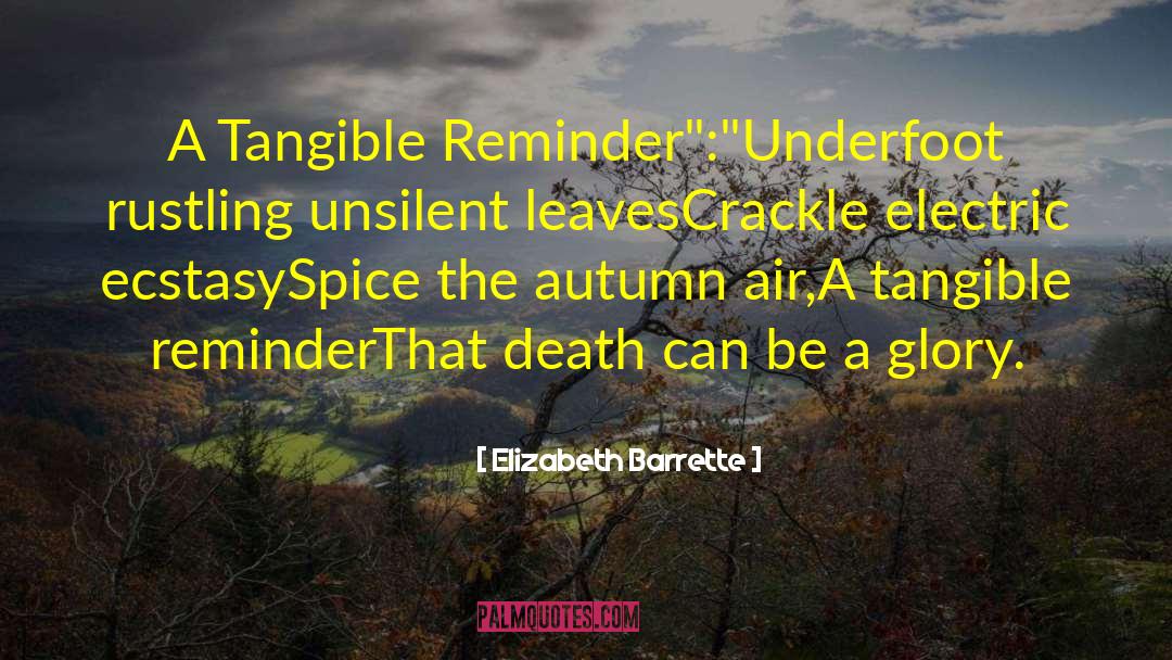 Crackle quotes by Elizabeth Barrette