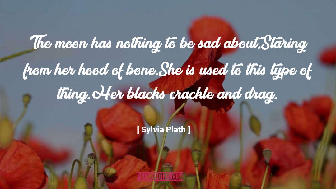 Crackle quotes by Sylvia Plath