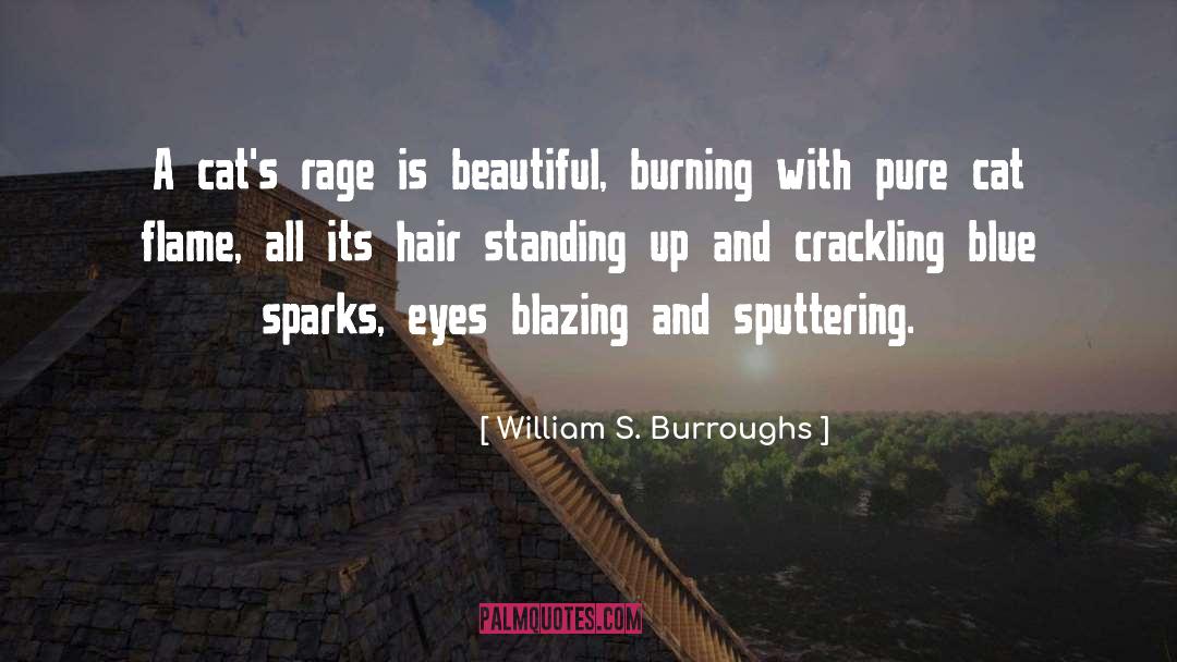 Crackling quotes by William S. Burroughs
