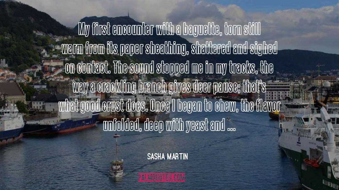 Crackling quotes by Sasha Martin