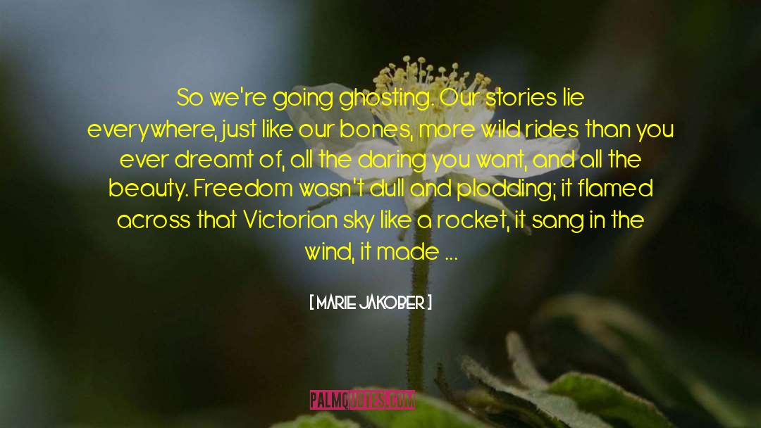 Cracks In Our Armor quotes by Marie Jakober