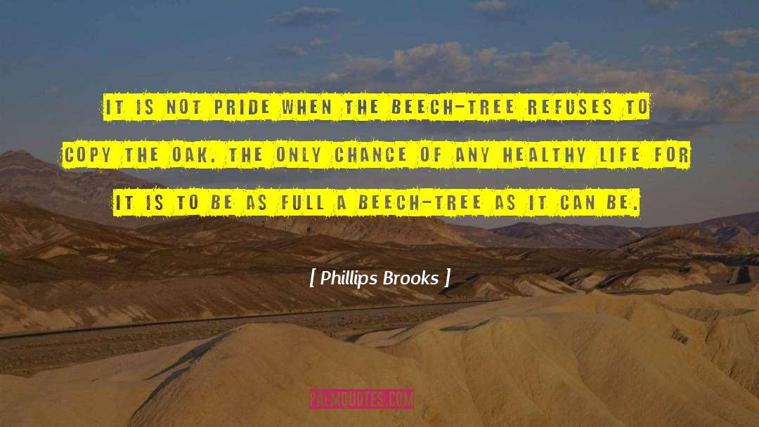 Cracks Of Life quotes by Phillips Brooks