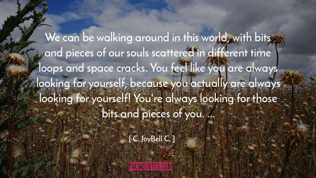 Cracks quotes by C. JoyBell C.