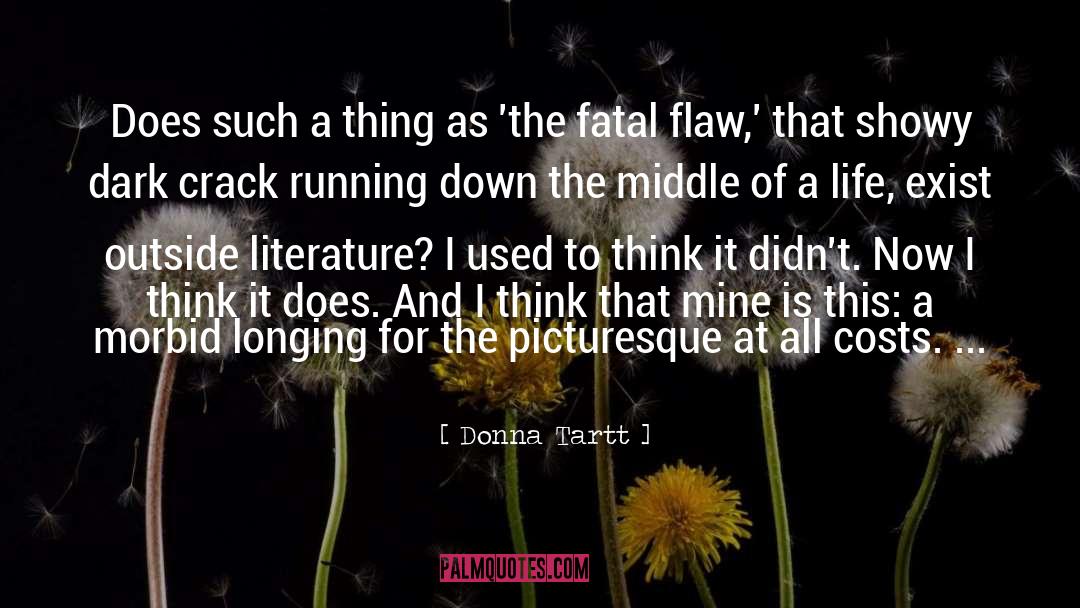 Cracks quotes by Donna Tartt