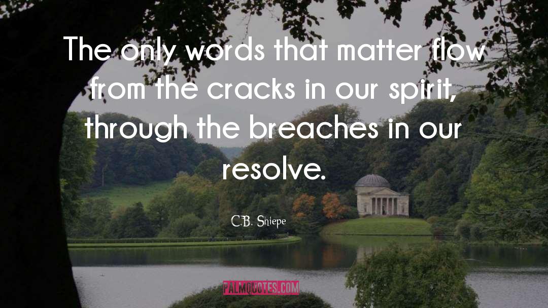 Cracks quotes by C.B. Shiepe