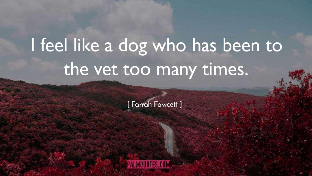 Craighall Vet quotes by Farrah Fawcett