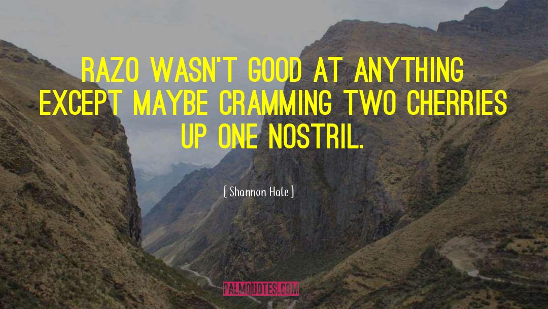 Cramming quotes by Shannon Hale