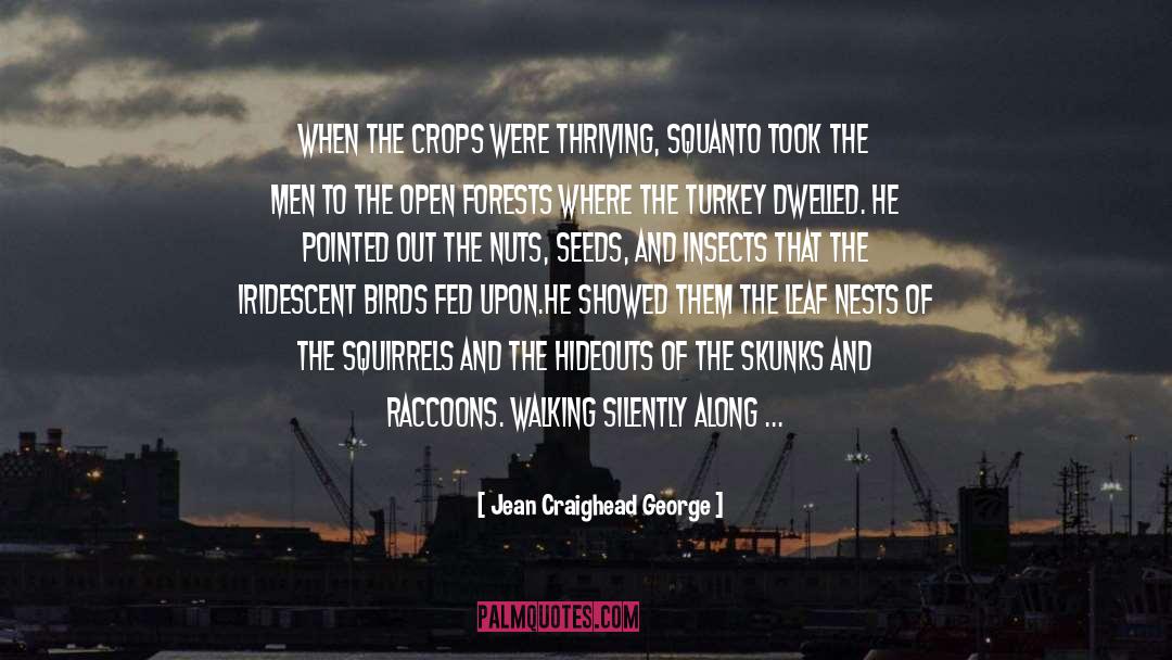 Cranberry quotes by Jean Craighead George