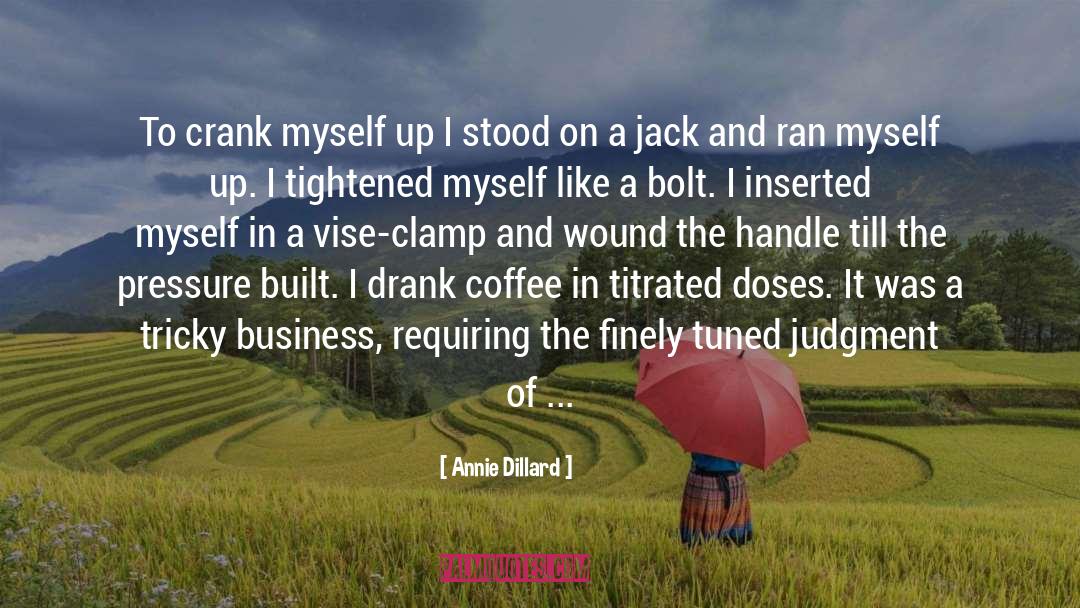 Crank quotes by Annie Dillard