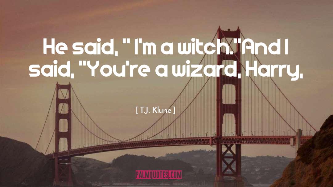 Crapulous Harry quotes by T.J. Klune
