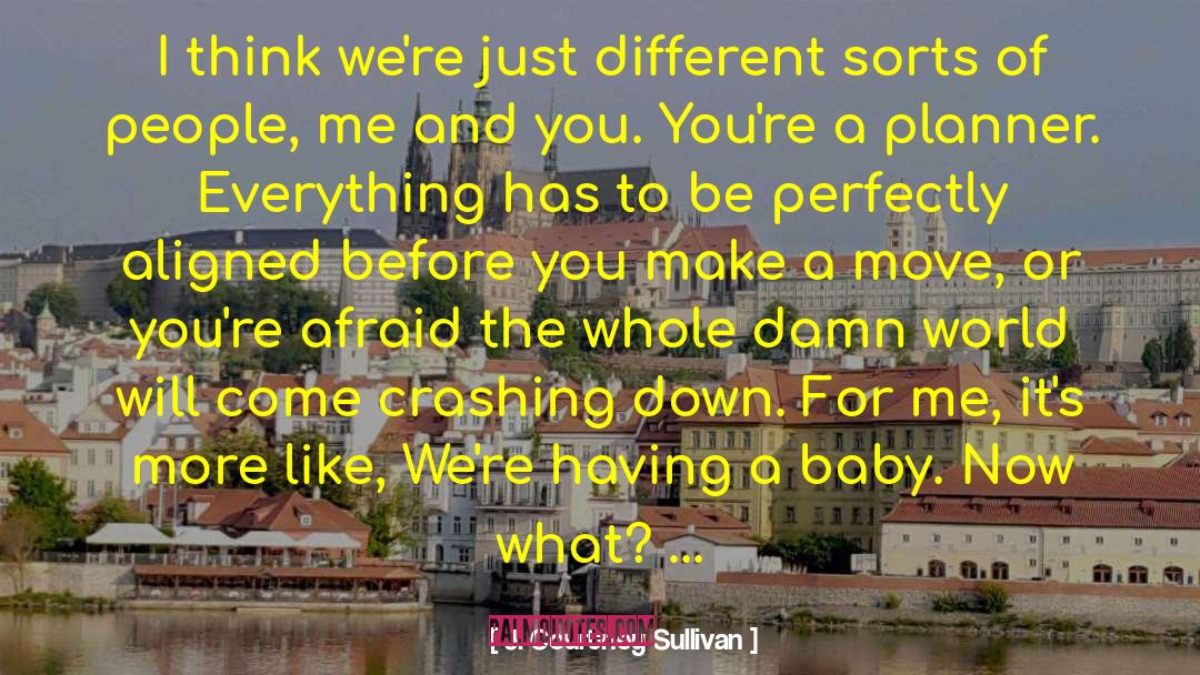 Crashing Down quotes by J. Courtney Sullivan