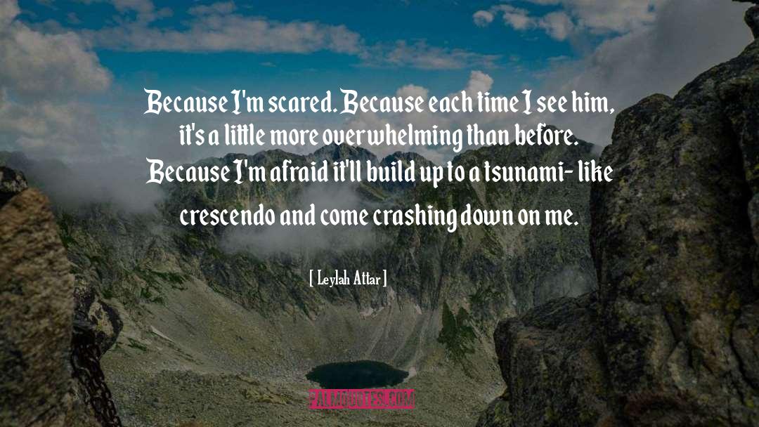 Crashing Down quotes by Leylah Attar