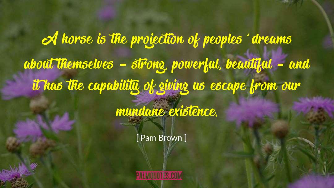 Craster Parabolic Projection quotes by Pam Brown