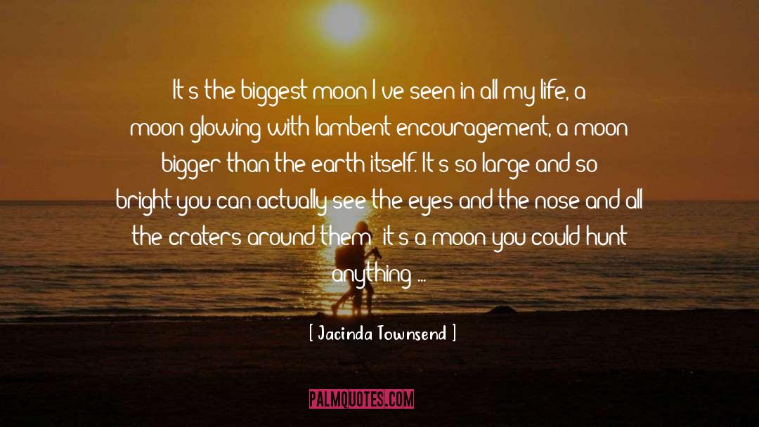 Craters quotes by Jacinda Townsend