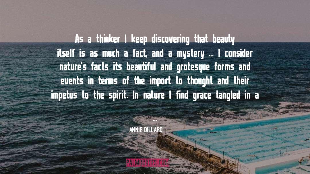Craving Beauty quotes by Annie Dillard