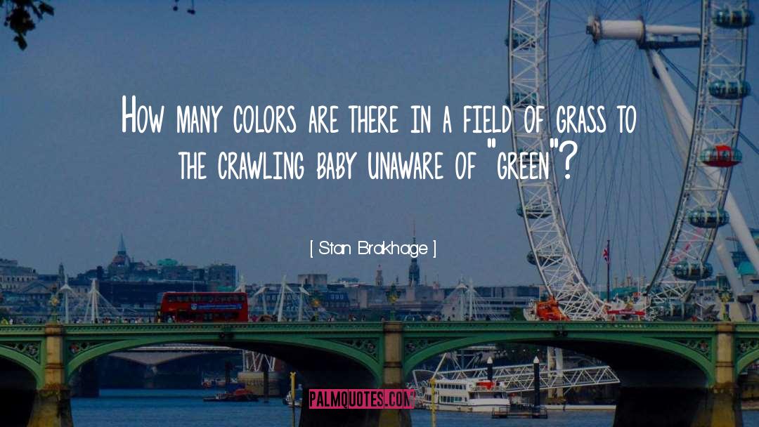 Crawling Babies quotes by Stan Brakhage